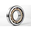 95dsf01 NSK Deep Groove Ball Bearing P0~P2 Grade with Competitive Price #1 small image